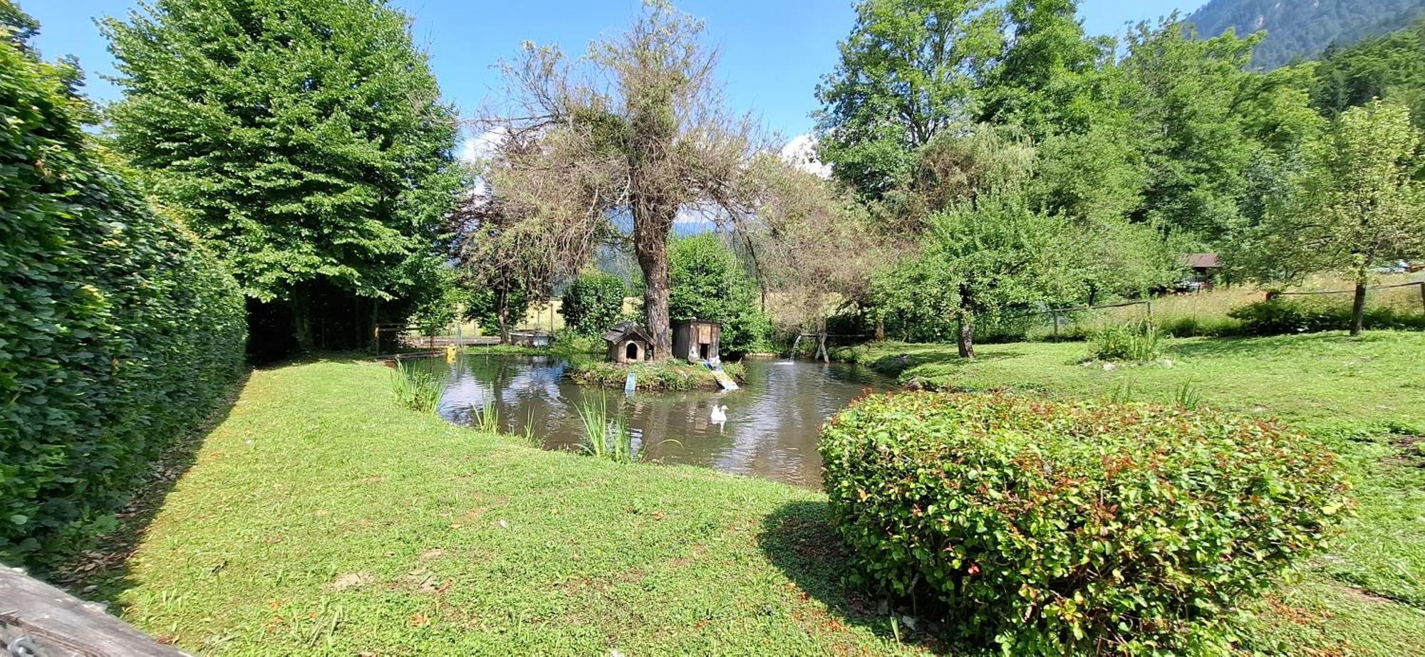 Ferienwohnungen Schloss Wasserleonburg Nötsch Extérieur photo